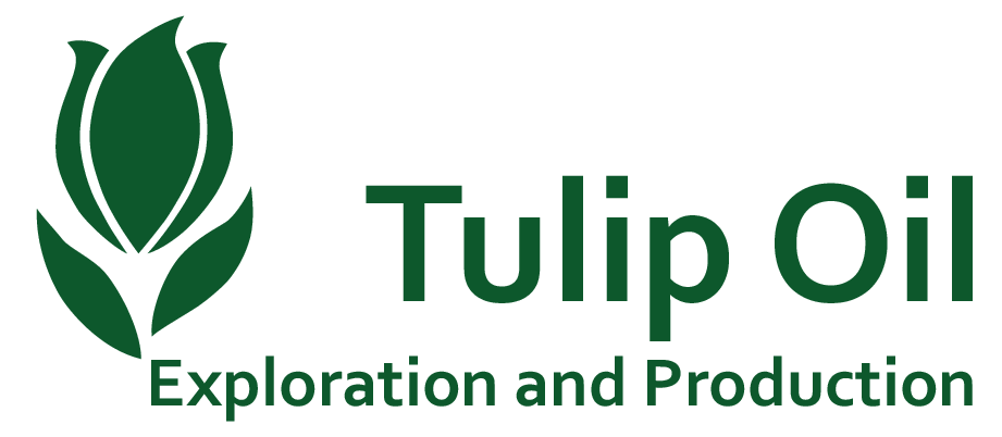 Logo TulipOil
